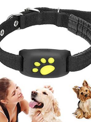 Cat Collar Waterproof Real Time Tracking Device