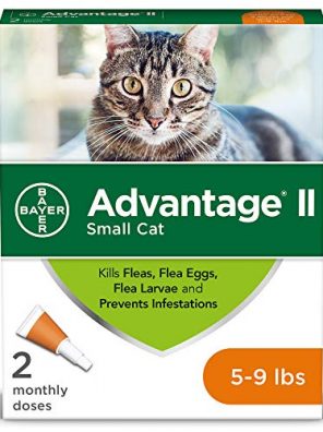 2-Dose Flea Treatment and Prevention for Small Cats