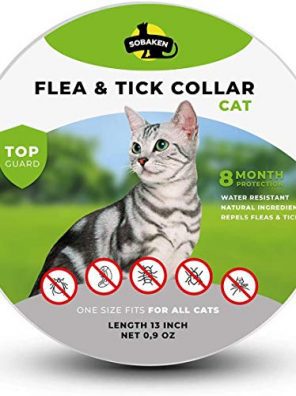 Flea Collar for Cat Tick Prevention