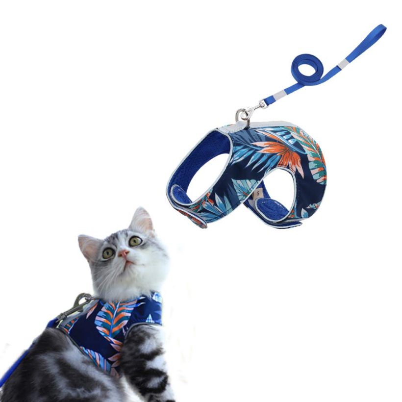 Cat Harness and Leash Set Soft Mesh Holster