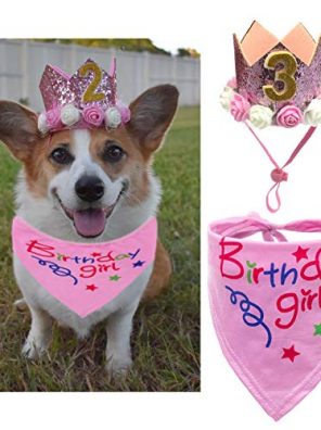 Cat Triangle Scarf Set Pet Birthday Decoration Pink