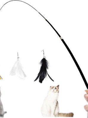 Retractable Cat Feather Toy Set Indoor with Bell