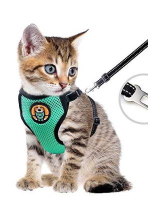 Kitten Harness and Leash Escape Proof with Car Seat Belt