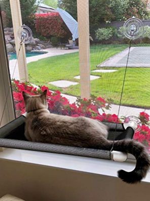 Cat Hammocks for Window Suction Cups