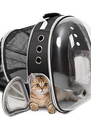 Cats Backpack Carrier Space Capsule Transparent