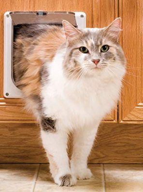 2-Way Locking Cat Door Hides Litterbox or Food