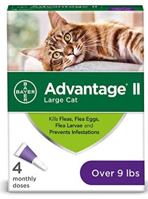 Flea Prevention for Large Cats