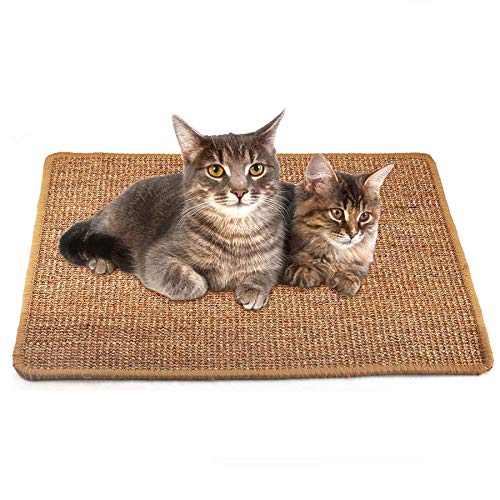 Anti-Slip Cat Scratch Rug Sleeping Carpet for Cat Grinding Claws