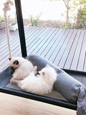 Cat Bed Window Perch Hammock Sunny Seat
