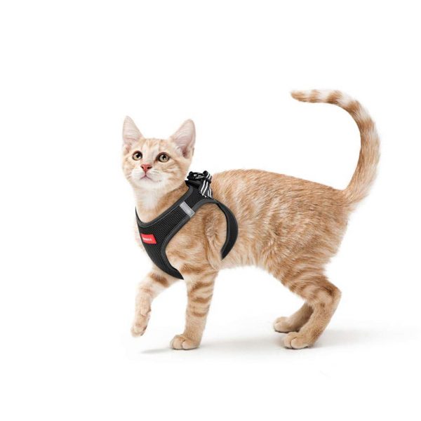 RAINDEE Cat Harness, Soft Mesh Cat Vest Harness