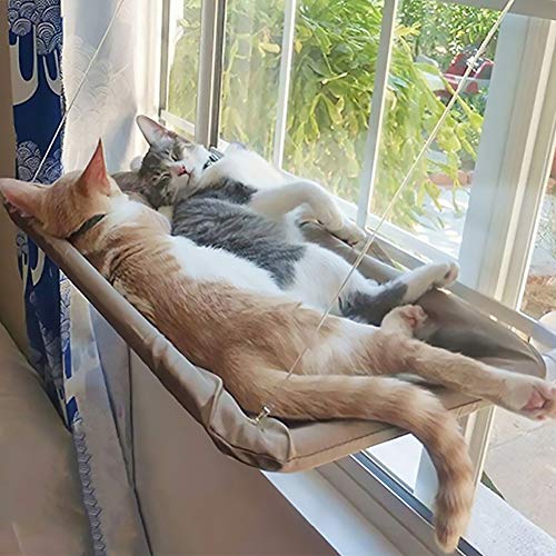 Large Cat Hammocks Bed Cat Window Perch Seat