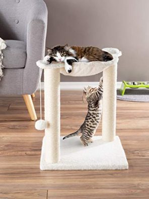 Cat Tree and Scratcher Hammock Style Lounging Bed