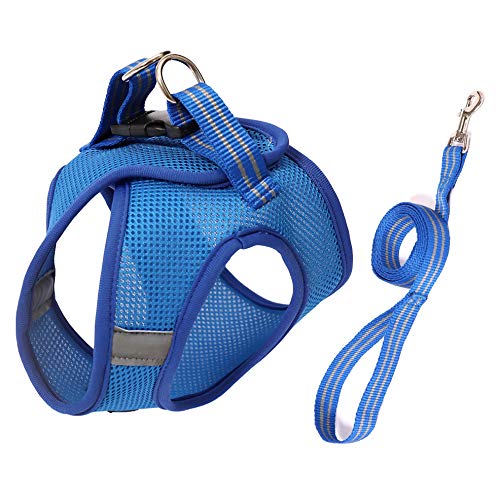 Cat Chest Adjustable Harness and Leash Set