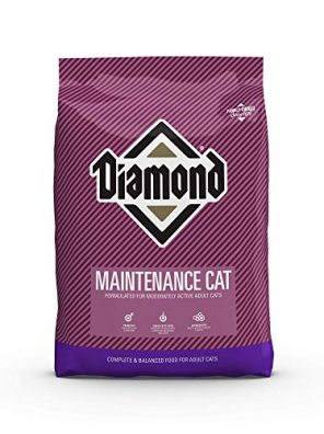 Dry Cat Food Premium Recipe Maintenance Complete