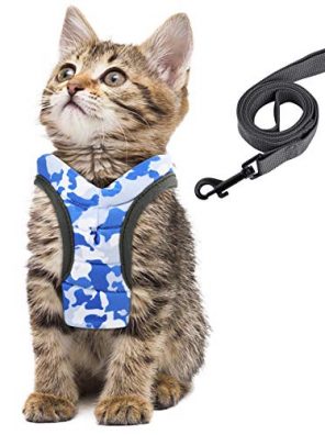 Pet Cat Leash and Harness for Walking Jacket