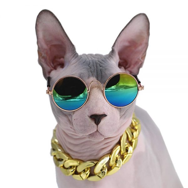 Kitipcoo Cool Stylish and Funny Pet Sunglasses