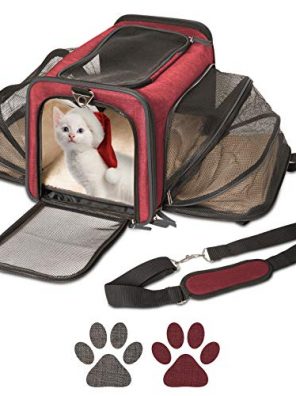 Cat Carrier and Small Dog Carrier by Pet Peppy