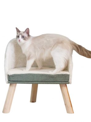 Scandinavian Style Elevated Cat Chair Wood Frame Legs