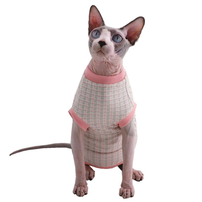 Sphynx Hairless Cat Purple Bunny Pattern Breathable Summer