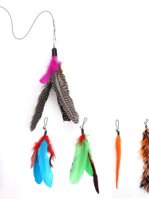 Retractable Cat Feather Toy Wand with 5 Assorted Teaser with Bell Refills