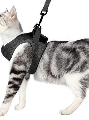 Wooruy Cat Harness and Leash Set for Walking 360°