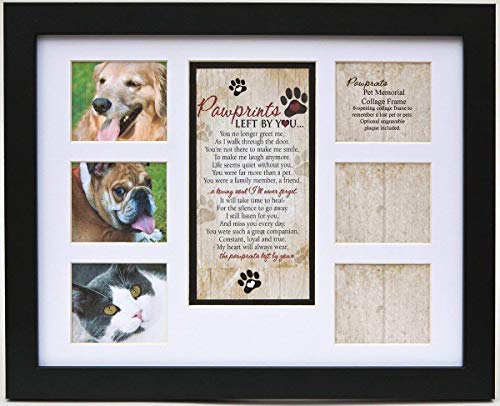 Cat with Sympathy Pawprints Collage Frame