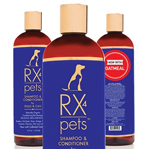 Cat Shampoo Conditioner Naturally Organic Oatmeal