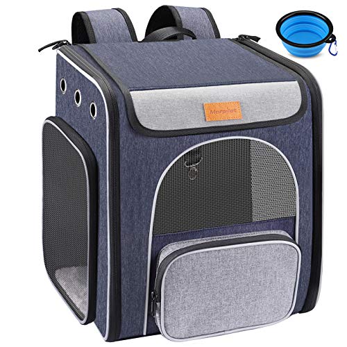 Foldable Cat Backpack Carrier for Cats and Small Dogs