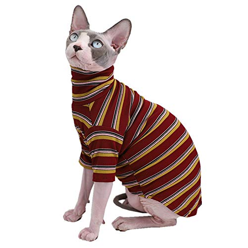 Cat Classic Stripes Summer T-Shirts: Keeping Cool and Cute