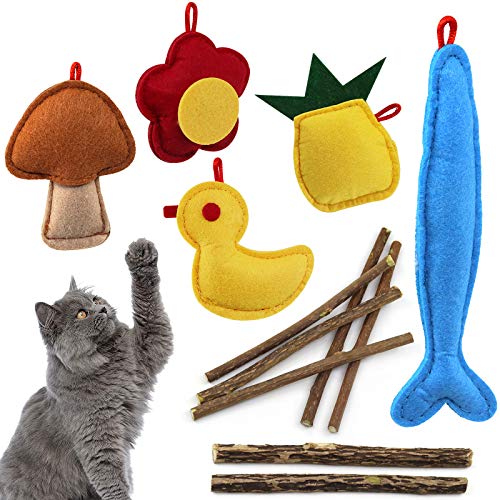 Cat Catnip Toys Set 12 Pack for Indoor Cats Natural for Dental Health