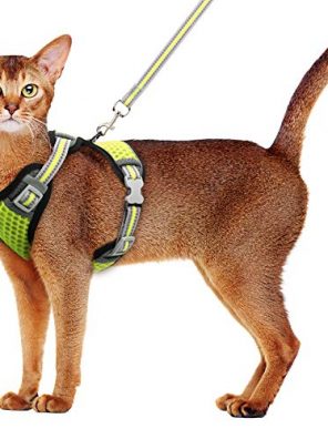 Cat Harness and Leash Set Escape Proof Kitten Harness