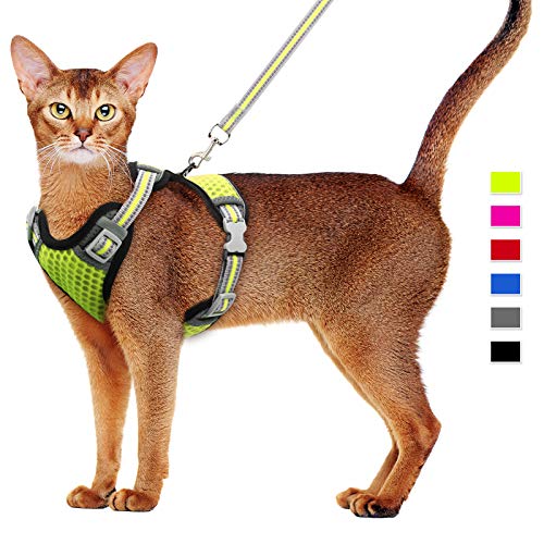 Cat Harness and Leash Set Escape Proof Kitten Harness