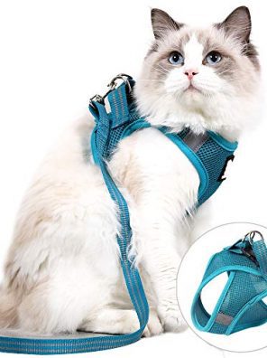 Cat Harness and Leash Set Lightweight Escape Proof Kitten
