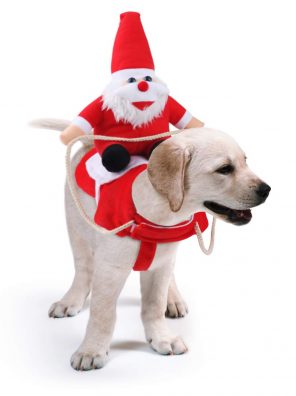 Cats Claus Riding Christmas Costume