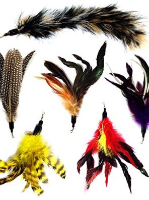 Cats Replacement Feathers Pack