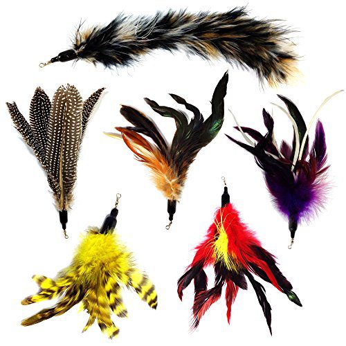 Cats Replacement Feathers Pack