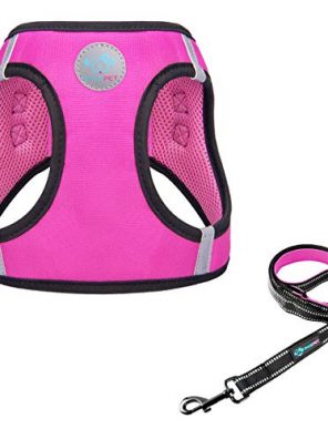 PHOEPET Step-in Dog Harness and Leash Set
