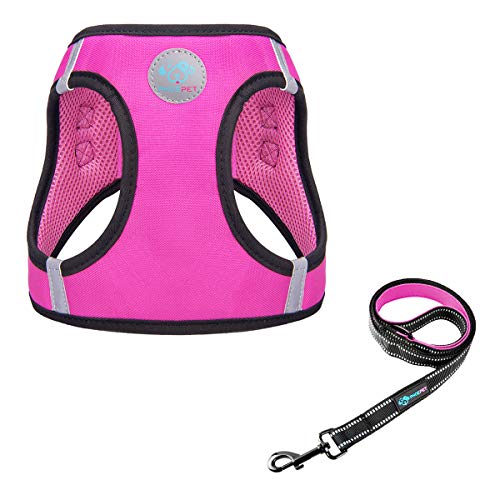 PHOEPET Step-in Dog Harness and Leash Set