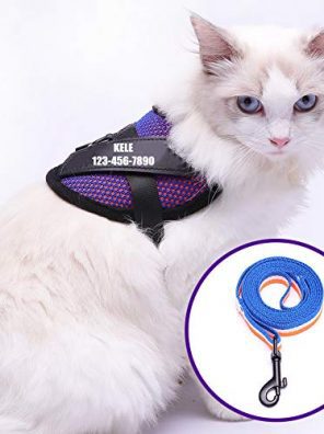 Cat Harness Custom - Personalized Cat Harness and Leash Set