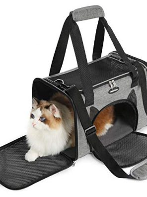 Cat Carrier Airline Approved Soft-Sided