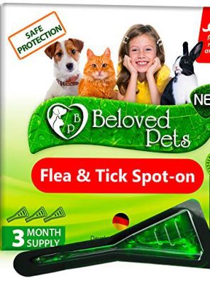 Flea and Tick Prevention Cats Flea Treatment