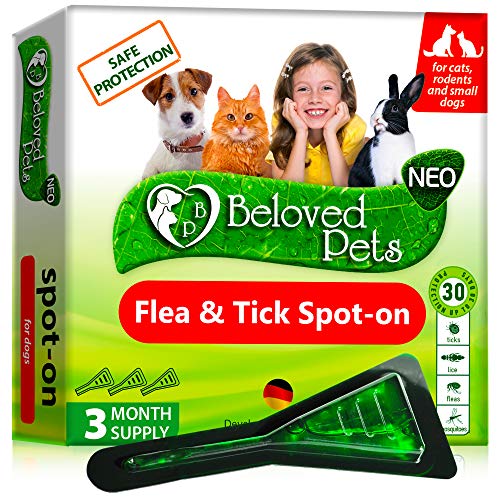 GreenFort NEO Spot-On Flea and Tick Prevention - Protecting Your Furry Friend the Natural Way