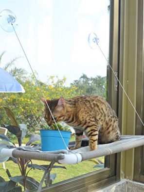 Pupagree Cat Window Hammock Cat Window Mounted
