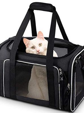Pet Carrier Airline Approved Pet Carrier Bag Collapsible