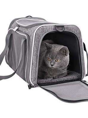 Escape Proof Cat Carrier for Medium Cats