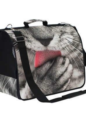 Small Medium Cats Cat Licking Paw Pet Carriers