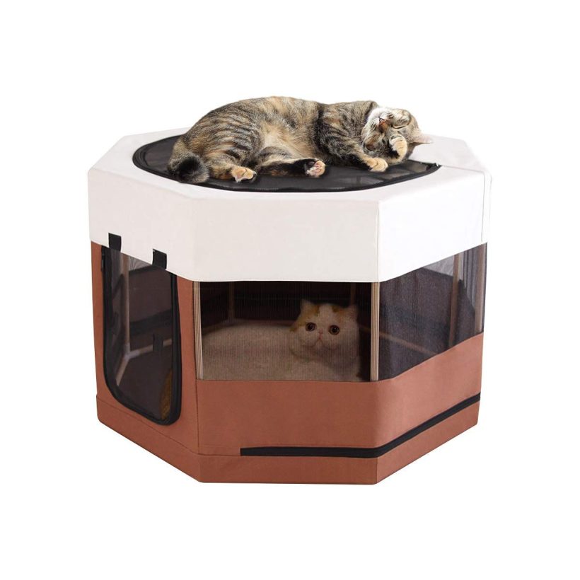 Cats Frame Cats Cage Indoor Kitten Crate Play Pens