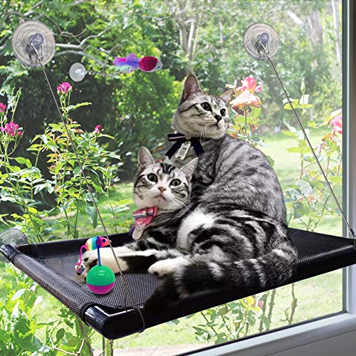 Cat Perch Cat Window Perch with Upgraded 4 Big Suction Cups