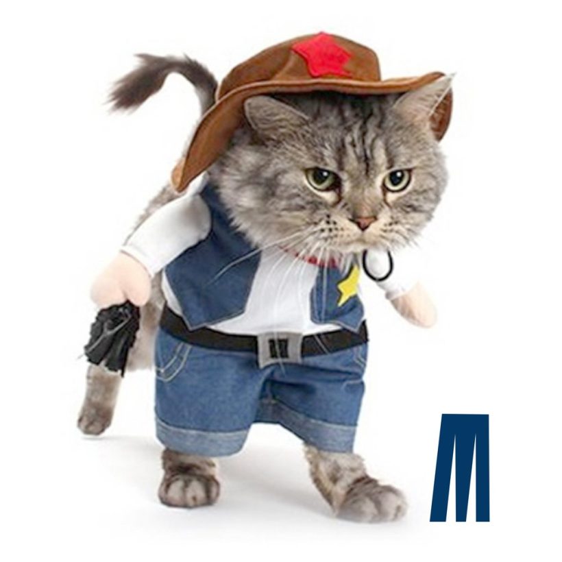 The Cowboy Cat Halloween Costume