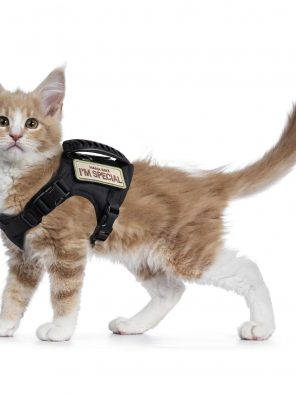 Soft Mesh Large Cat Harness for Walking Escape Proof